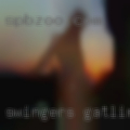 Swingers Gatlinburg